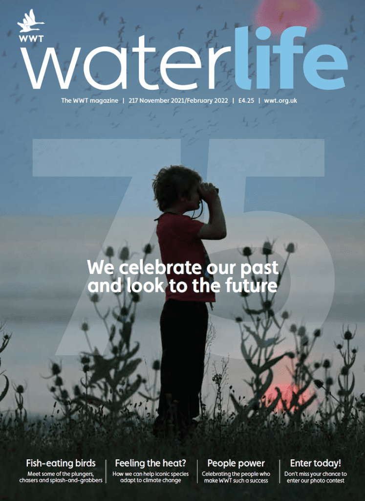Waterlife cover